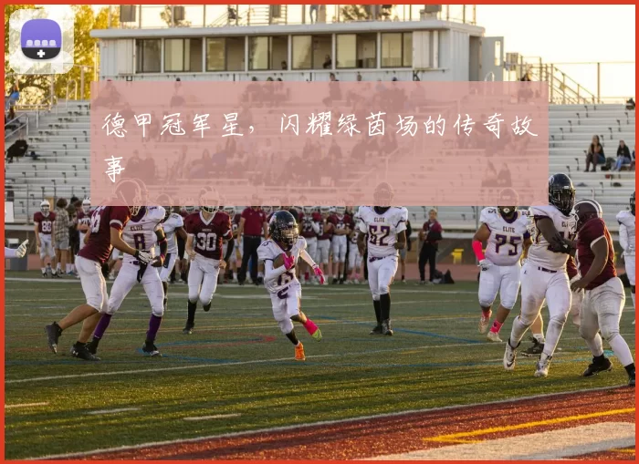 德甲冠军星，闪耀绿茵场的传奇故事