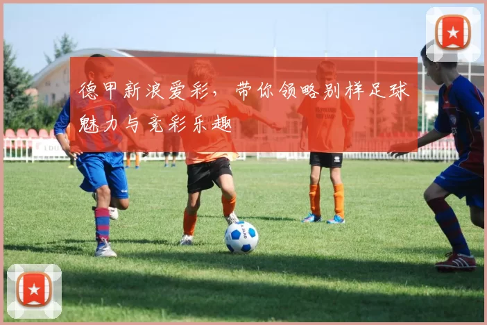 德甲新浪爱彩,带你领略别样足球魅力与竞彩乐趣