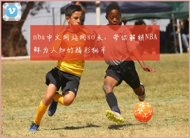 nba中文网站网so米，带你解锁NBA鲜为人知的精彩秘辛